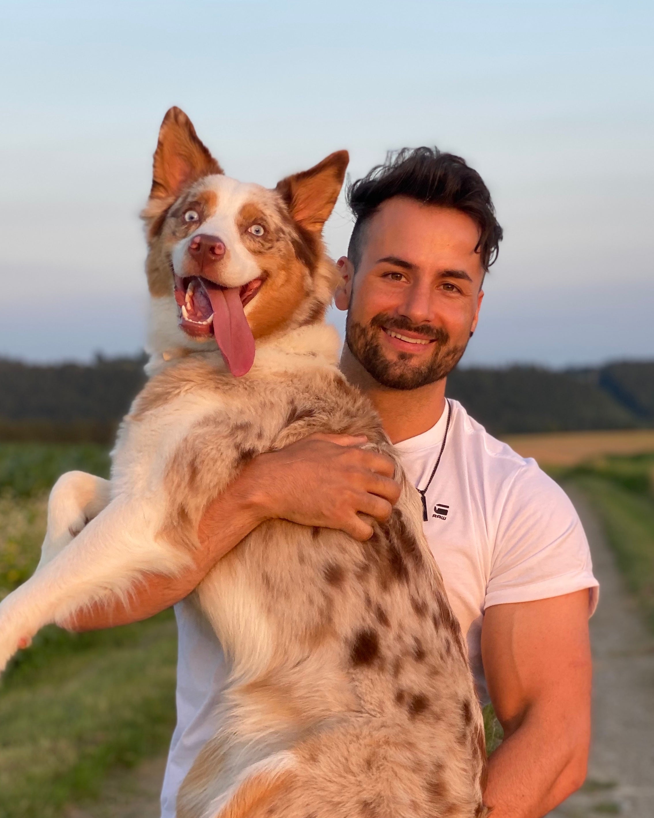 Team Heimatpfoten Team Heimatpfoten